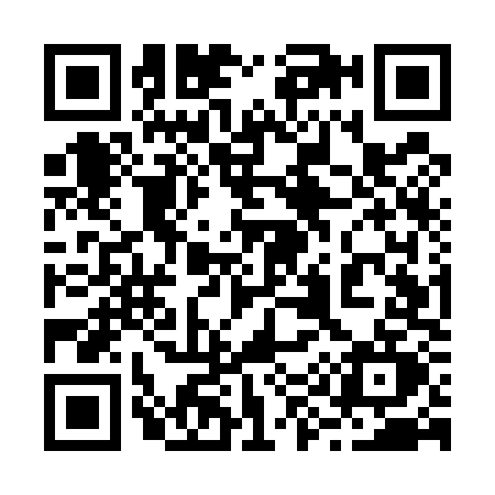 QR code for 295U