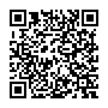 QR code for 295X
