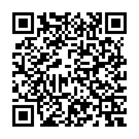 QR code for 295Z