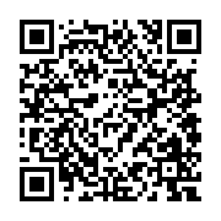 QR code for 29611