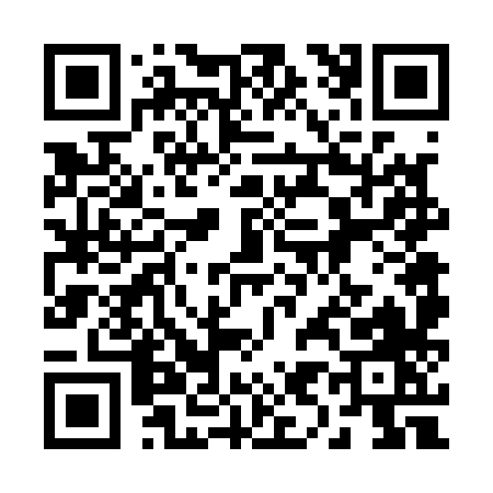 QR code for 29618