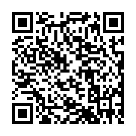 QR code for 29619