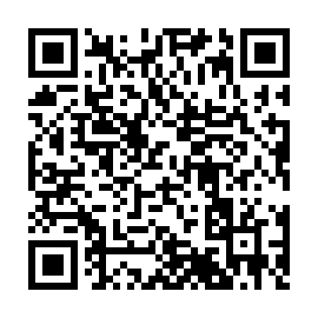 QR code for 2993N