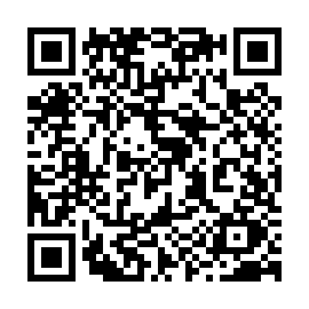 QR code for 299P