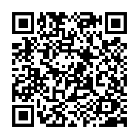 QR code for 299T