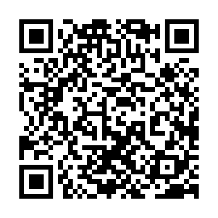 QR code for 2CP828