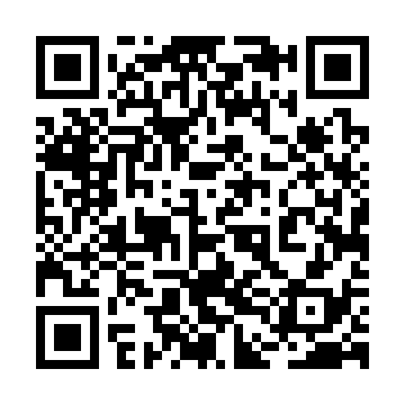 QR code for 2DD338