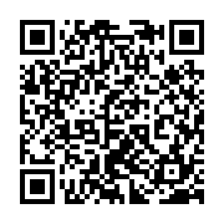 QR code for 2DE234
