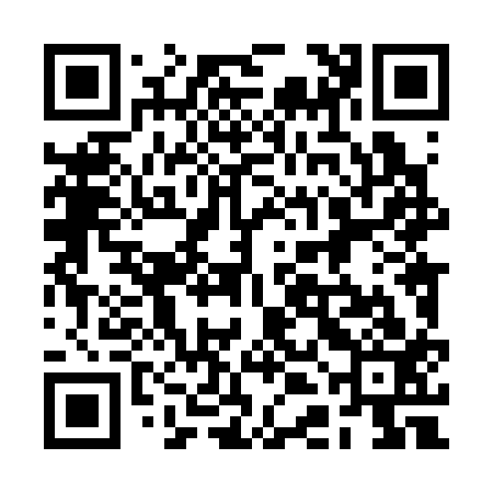 QR code for 2DL313