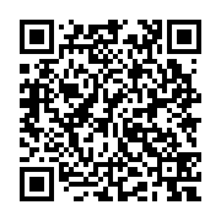 QR code for 2DM339