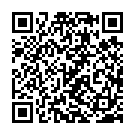 QR code for 2DP633
