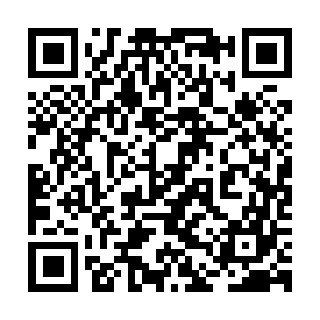 QR code for 2DQ867