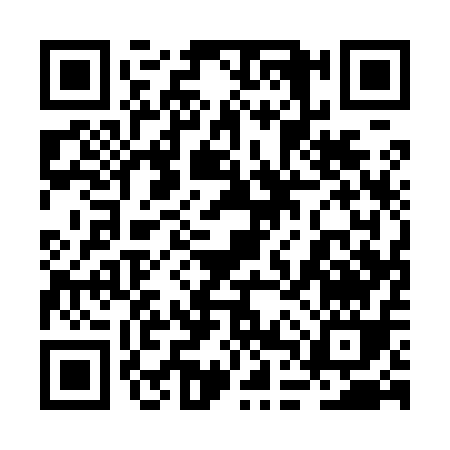 QR code for 2DQ91