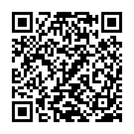 QR code for 2DS273