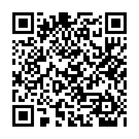 QR code for 2DT295