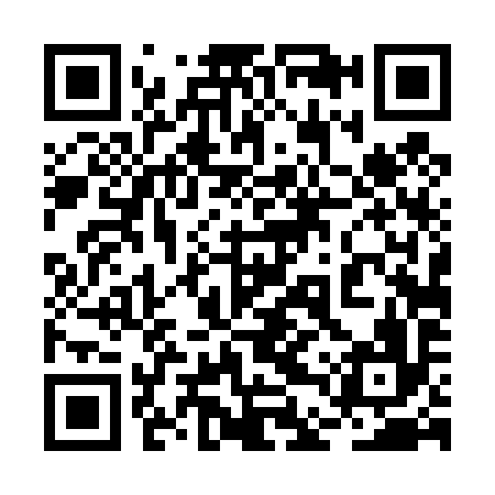 QR code for 2DT496