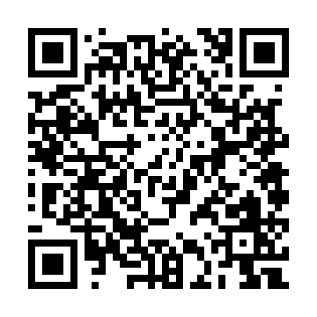 QR code for 2DV11