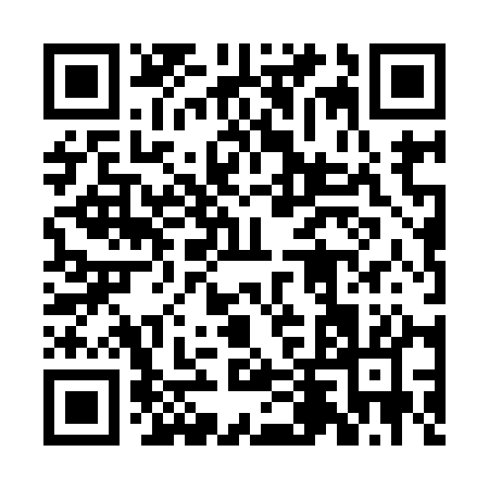 QR code for 2DZ91