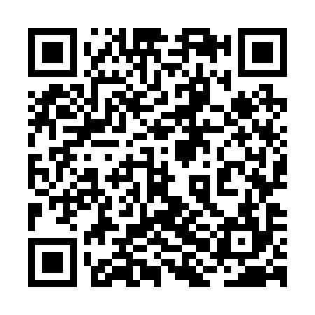 QR code for 2HO294