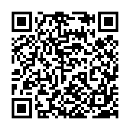 QR code for 2IN417