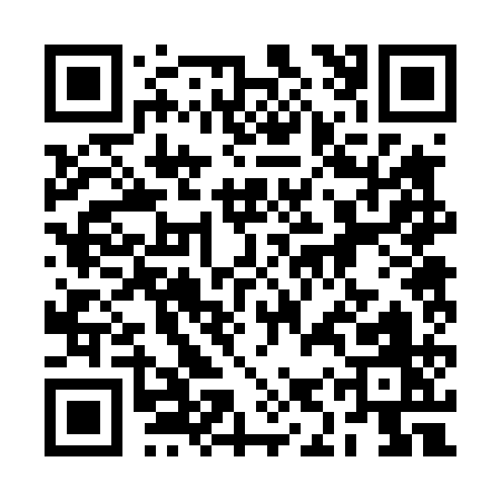 QR code for 2IR41