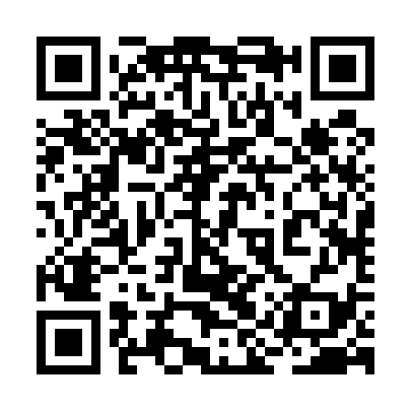 QR code for 2IR539