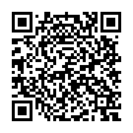 QR code for 2NZ523