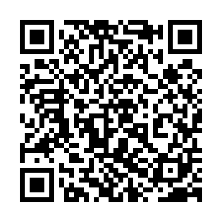 QR code for 2PK501