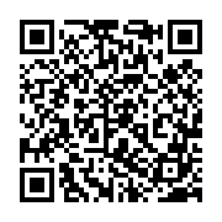 QR code for 2PL462
