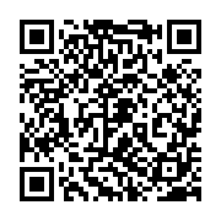 QR code for 2PN850