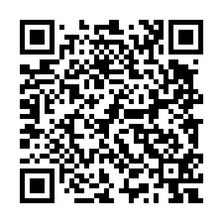 QR code for 2QL411