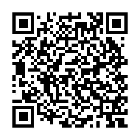 QR code for 2SG250