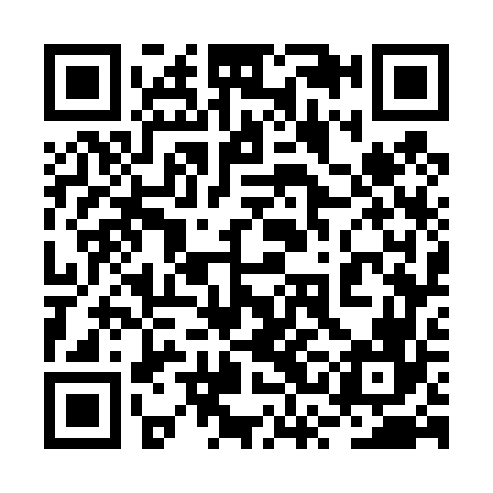 QR code for 2SG466