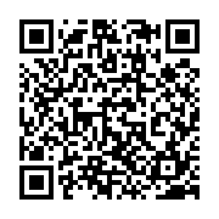QR code for 2SG534