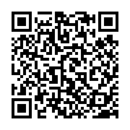 QR code for 2SG619
