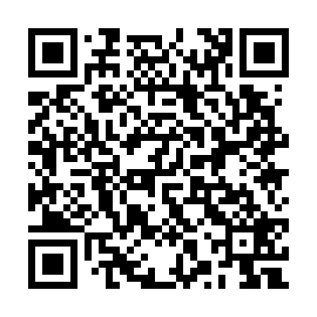 QR code for 2XQ729
