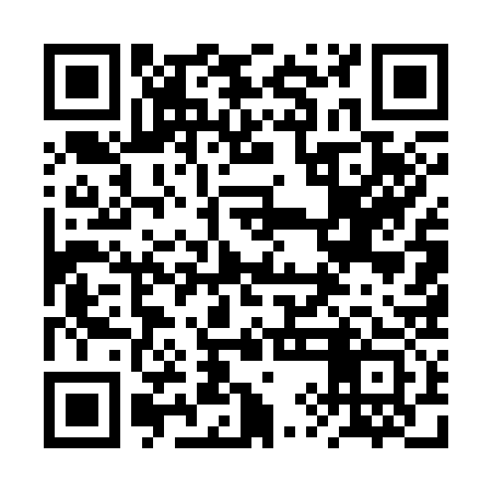 QR code for 2YE333
