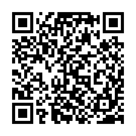 QR code for 2YQ294