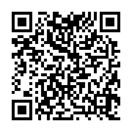 QR code for 2ZC336