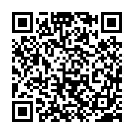 QR code for 2ZX273