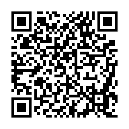 QR code for 3006O