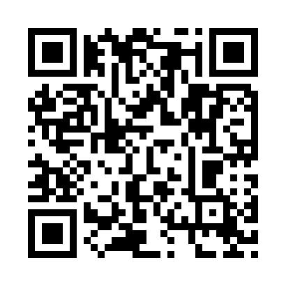 QR code for 313