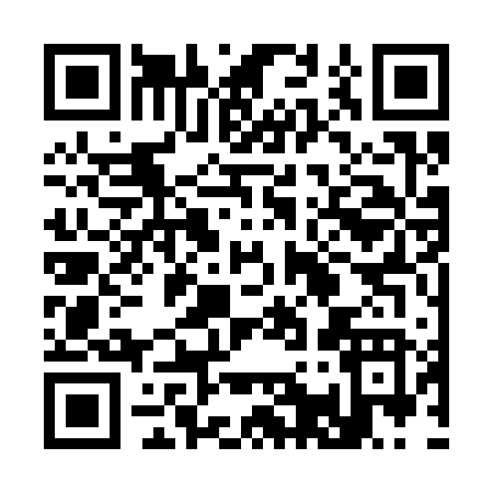 QR code for 31336