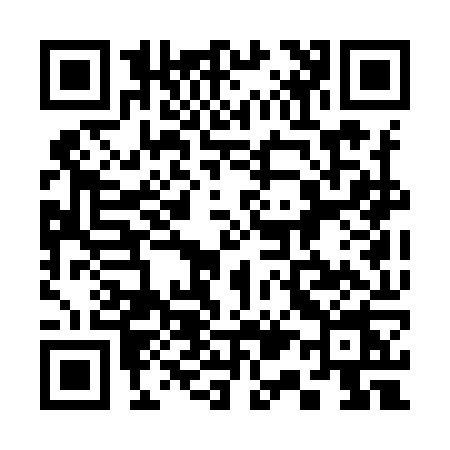 QR code for 313I