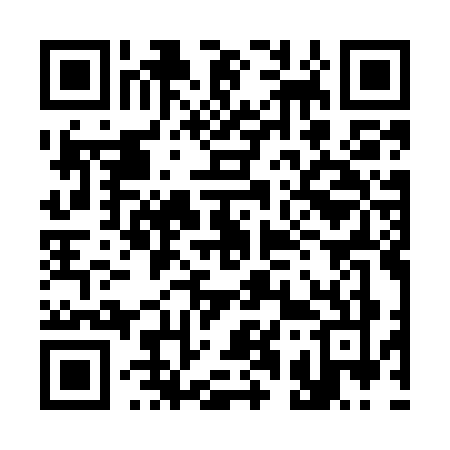 QR code for 313M