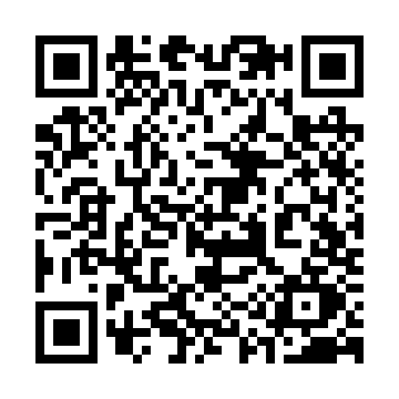 QR code for 313R