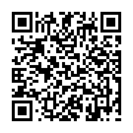 QR code for 313T