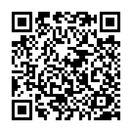 QR code for 313V