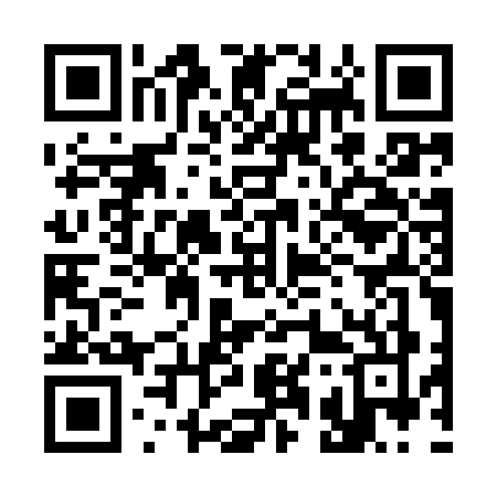 QR code for 317Y