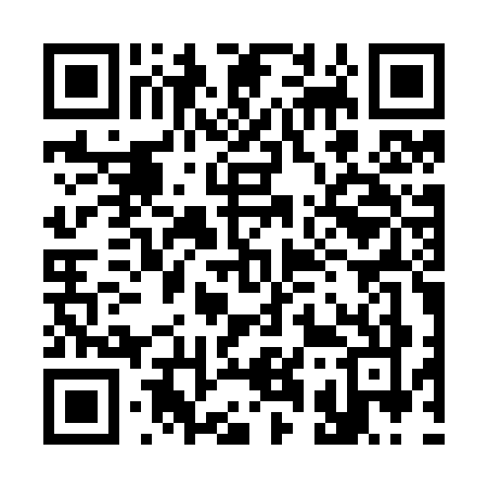 QR code for 317Z
